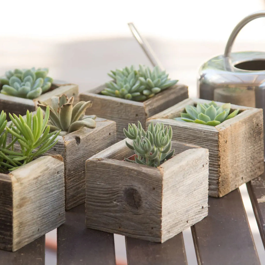 Reclaimed Wood Mini Square Planters / Favor Boxes EACH