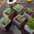 Reclaimed Wood Mini Square Planters / Favor Boxes EACH