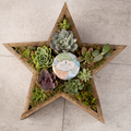 Rustic Star Reclaimed Wood Planter