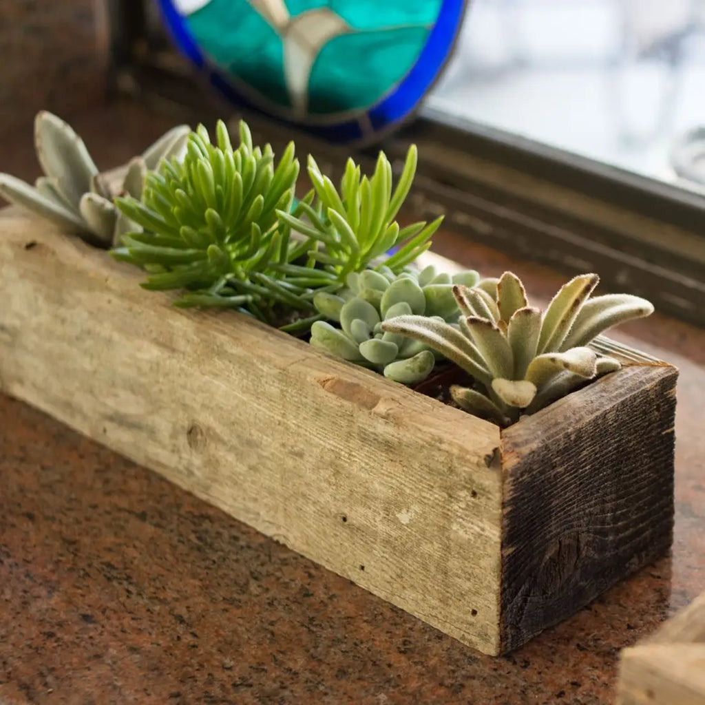 Reclaimed Wood Succulent Planter - Medium Trough
